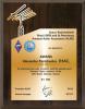 Нажмите для просмотра plaketka11-cr_t1.jpg