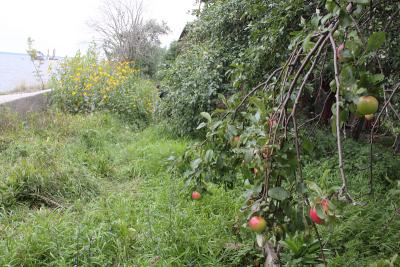 ������ ���������� ����������� �����