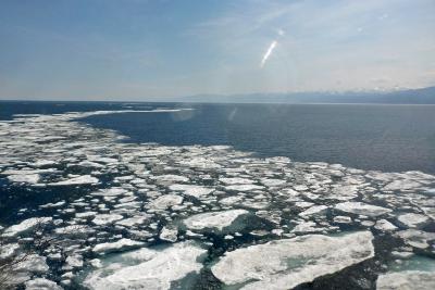 ����� ������.