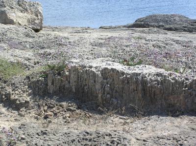 RK-27, ��� ������� ����� �. ��������