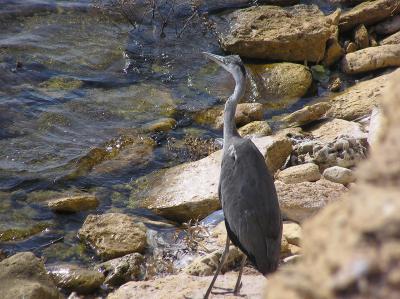 RK-27, ��� ������� ����� �. ��������, � ������� ������� ����� - ������� ���� ����