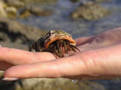 RK-27, ��� ������� ����� �. �������� � ��� ���� �������� - ���-���������