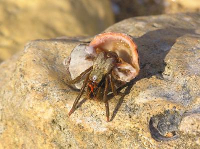 RK-27, ��� ������� ����� �. ��������, � ��� � �� ��� ���������������