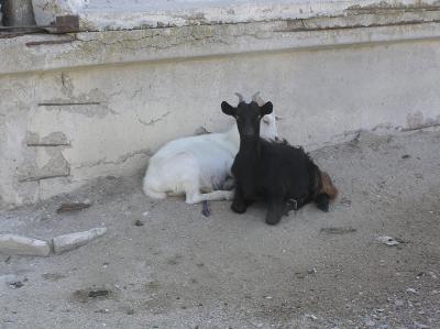 RK-24, ��������� ��������� �����