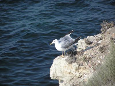 SE-01, ������� ����� ��������