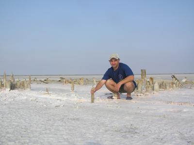 RK-24, ��� ��� ���������� ����